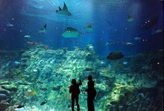 国庆假期将至丽江到香港全程票价仅需839.5元您心动了吗？