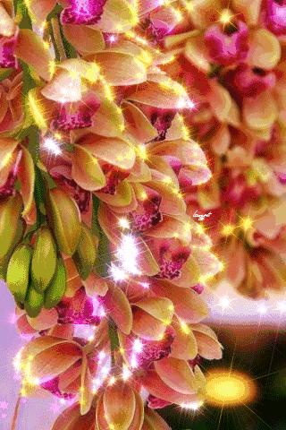 会动的视觉图片14张,会动的图片21张太美了