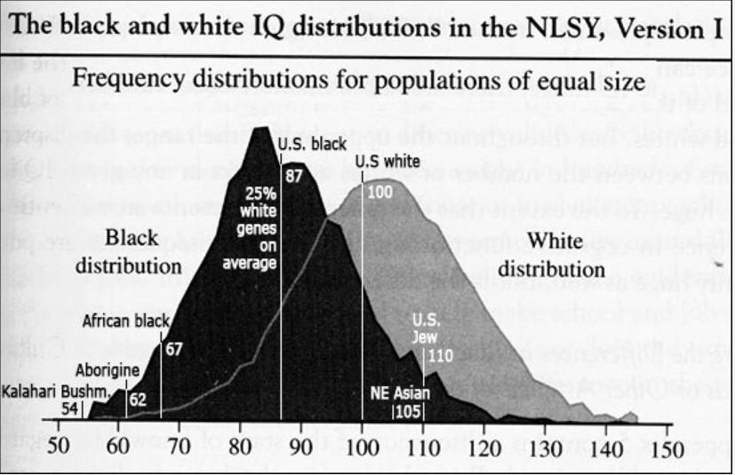 基因决定了智商的上限,基因决定智商吗