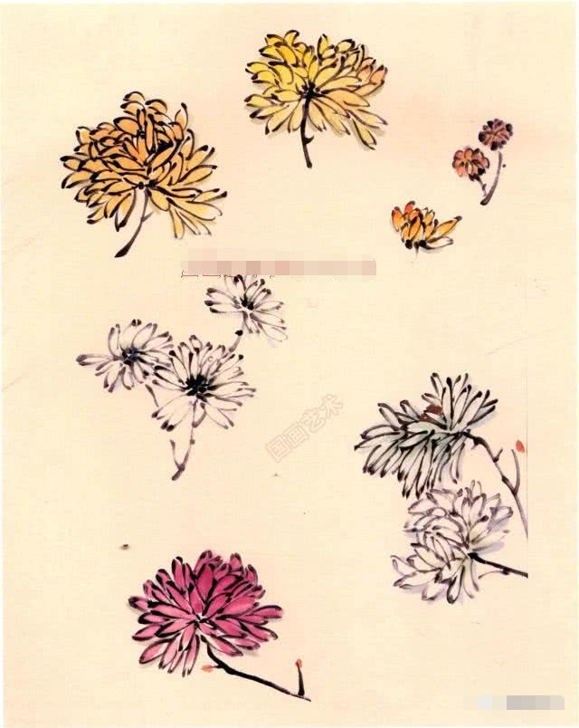 国画小写意菊花花头的画法,菊花国画写意画法视频