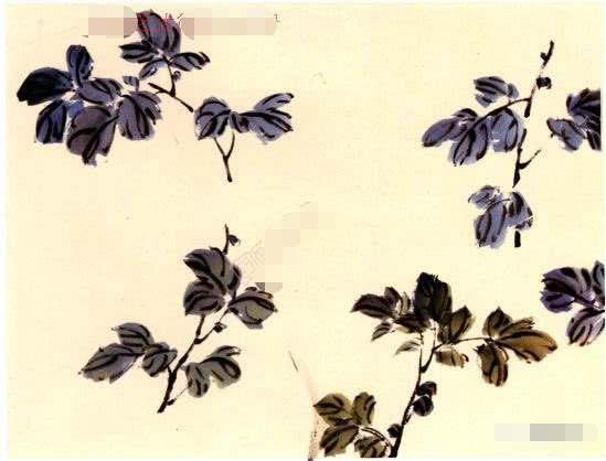 国画小写意菊花花头的画法,菊花国画写意画法视频