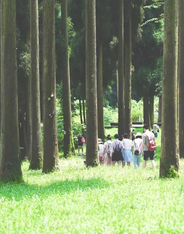 成都邛崃藏在深山中的世外桃源,成都邛崃最值得去的地方