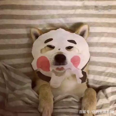 10款平价保湿的网红面膜大点评,韩系平价面膜有哪些好用