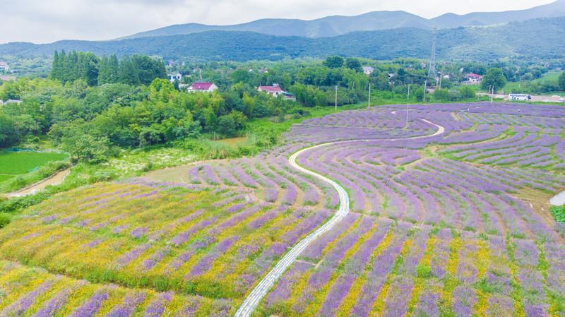 安徽宣城广德旅游攻略,安徽宣城山水奇秀