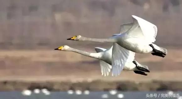 今天9月12日，千年一遇的双福日，双倍祝福送给朋友们愿你幸福久久