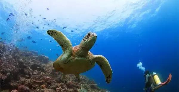 马来西亚十大迷人岛,马来西亚十大迷人海岛