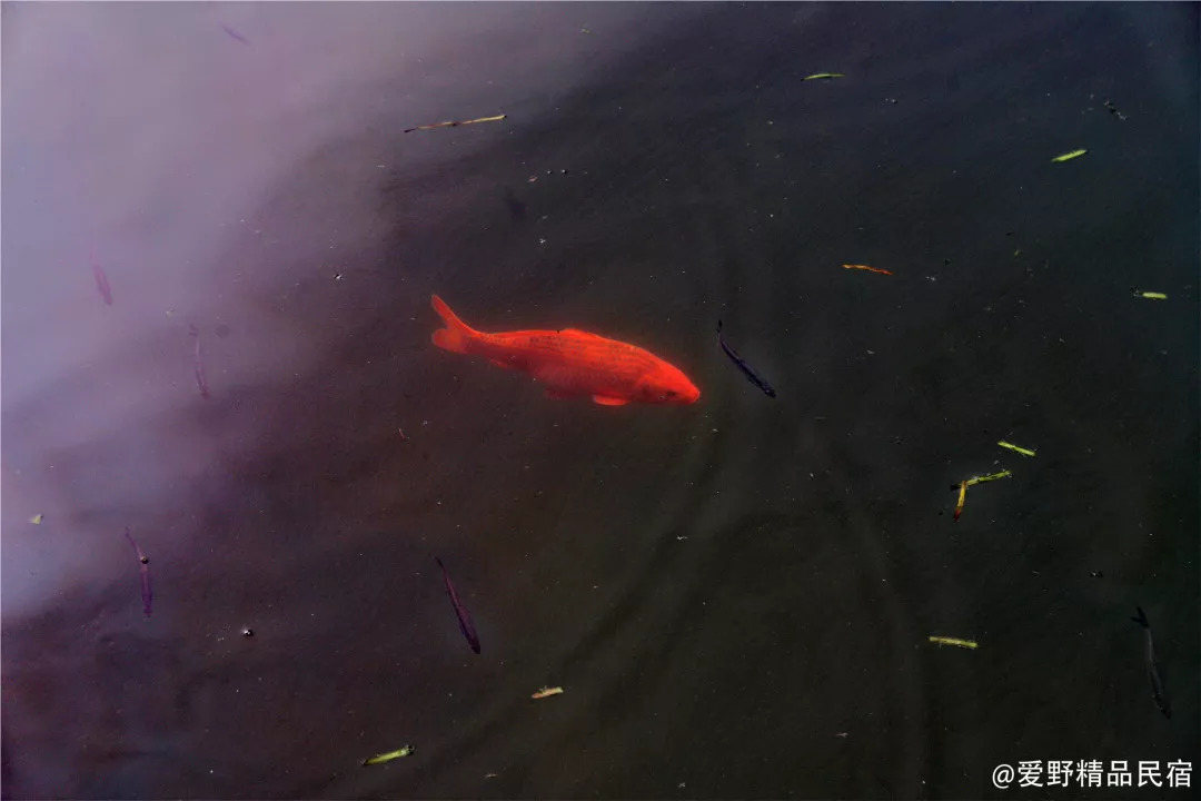 杭州3天2夜｜西子湖畔，脚步丈量这座底蕴深厚的城-爱野精品民宿