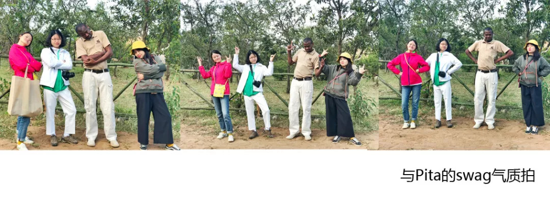 肯尼亚│我没有错过非洲，错过动物大迁徙