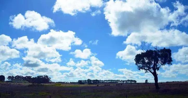 嗑进口“养生药”的年轻人炸了澳洲Swisse等保健品竟是从中国进口