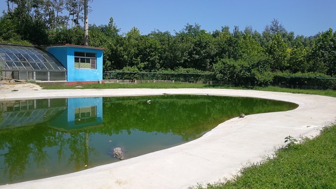 寻秦记旅游,寻秦记自驾旅游