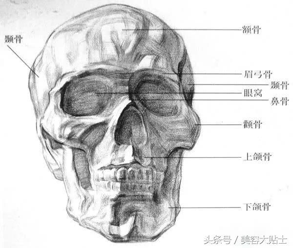骨相明显的人怎么画眉毛,怎么才能知道什么眉形最适合你