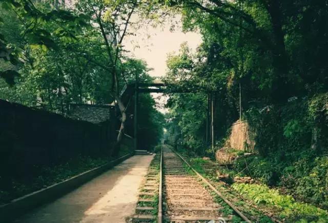 致拼搏奋斗路上莘莘学子,致莘莘学子的图片