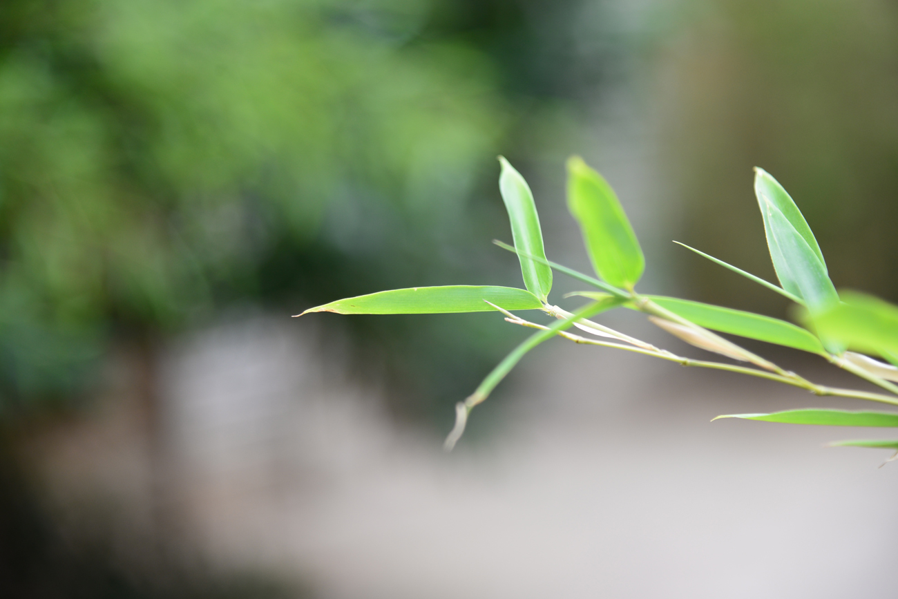 工作中的小失误如何避免,工作中难免出错你会怎么处理