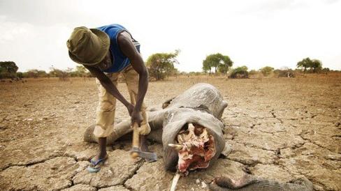 这十种文玩买了就是被坑了,十大必死无疑的文玩