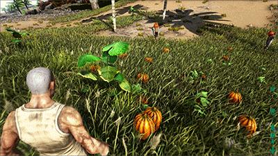 方舟生存进化无限琥珀版下载安装,方舟生存进化无限琥珀2.0版本