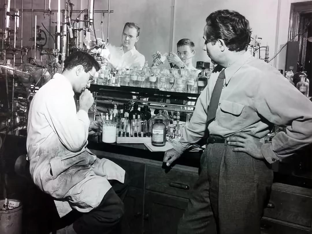 老鼠药差点毒死全村,老鼠药毒不死人