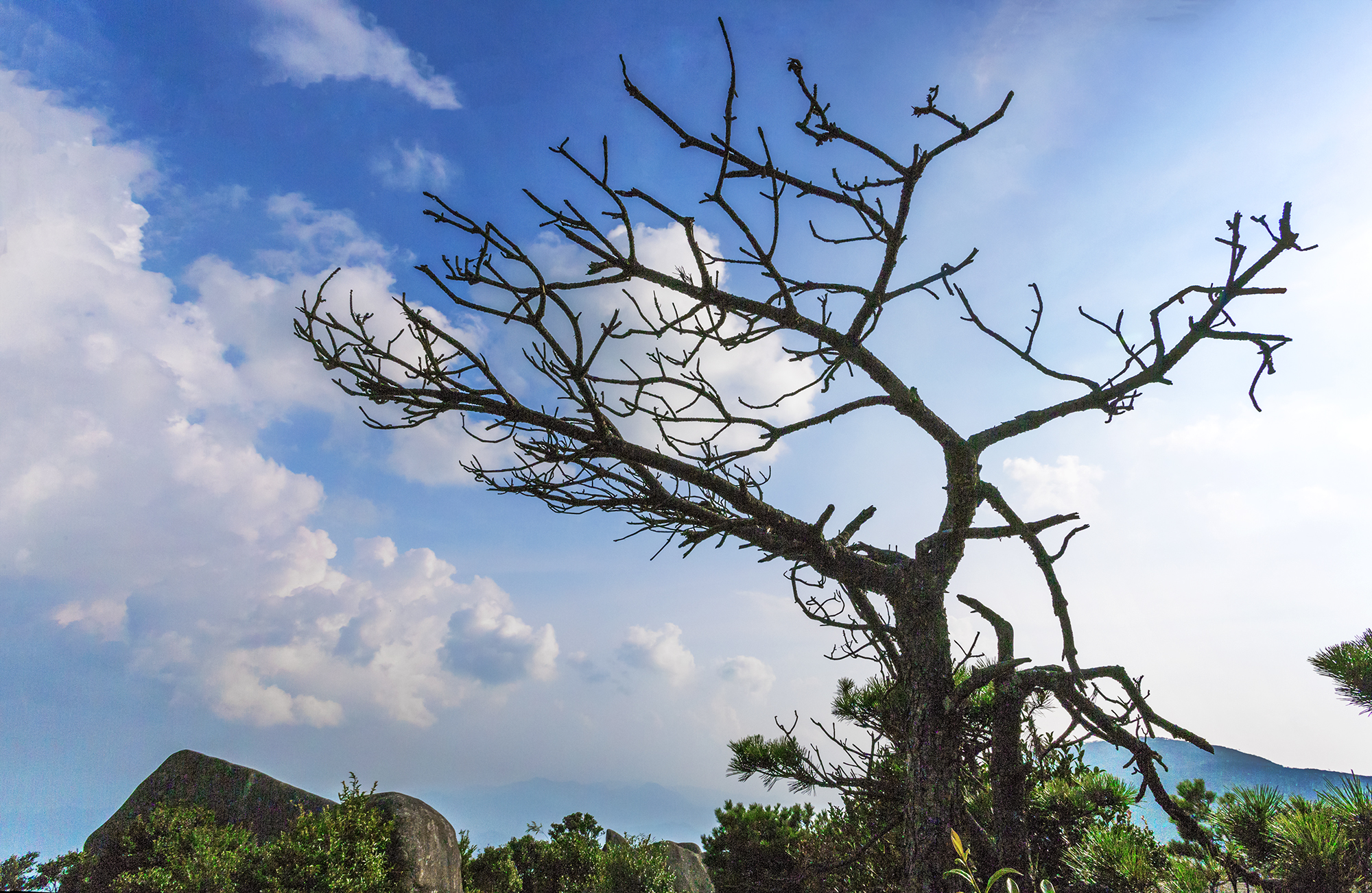 太有趣，一座山竟像一头卯足劲的牛