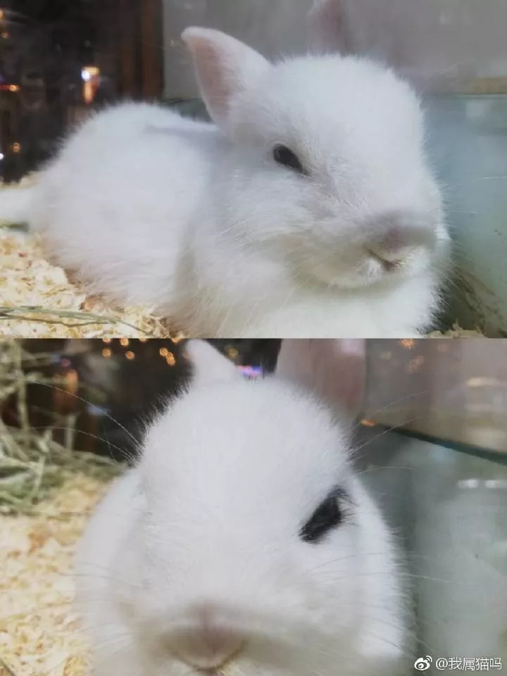 想学韩国粉丝嫁爱豆？你离电眼少女只差一步