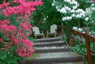 会动的图片一览表,会动的图片完整版