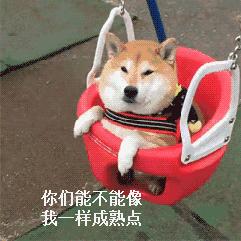 今年开学季这拨新生名字，比往年每届都令老师发指