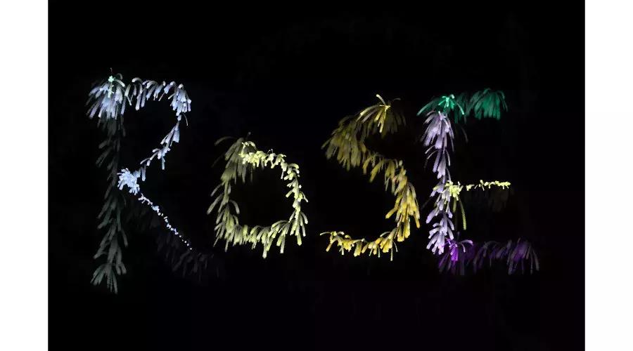 简单粗暴表白方法,超级火的表白