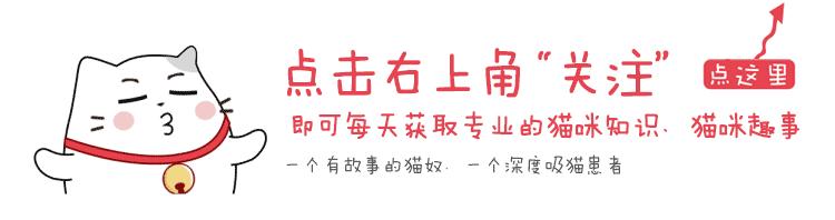 棉签的真正用法,什么叫做棉签大法
