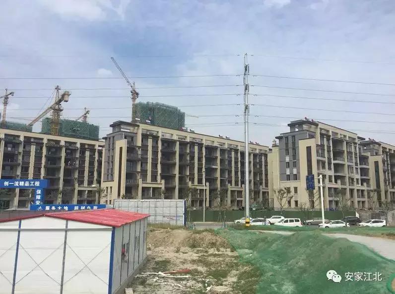 刚刚，大学研究院正式签约！江北新区这个板块爆发了