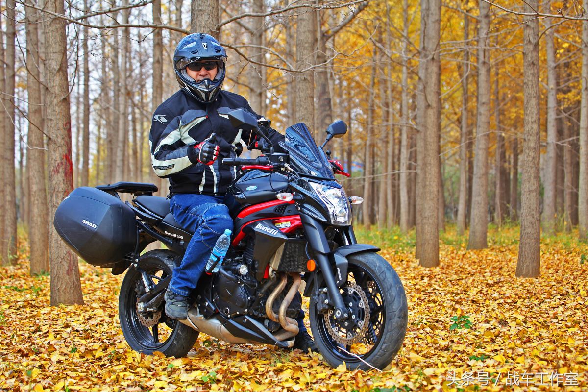 隐藏在绿化带里的罪恶,隐藏在黑暗深处的罪孽