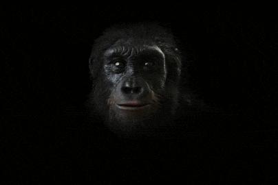 人体哪个部位让你，忍不住伸出舌头，想舔……｜从5500万年前说起