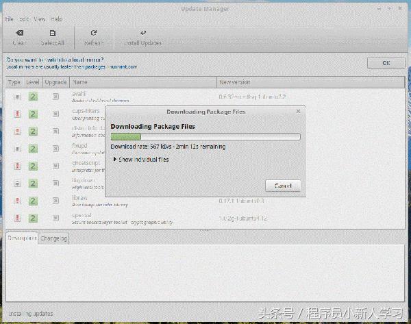 linuxmint安装教程,linuxmint安装步骤