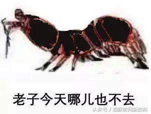 宇宙级代沟：00后在骂你，你却一脸懵逼