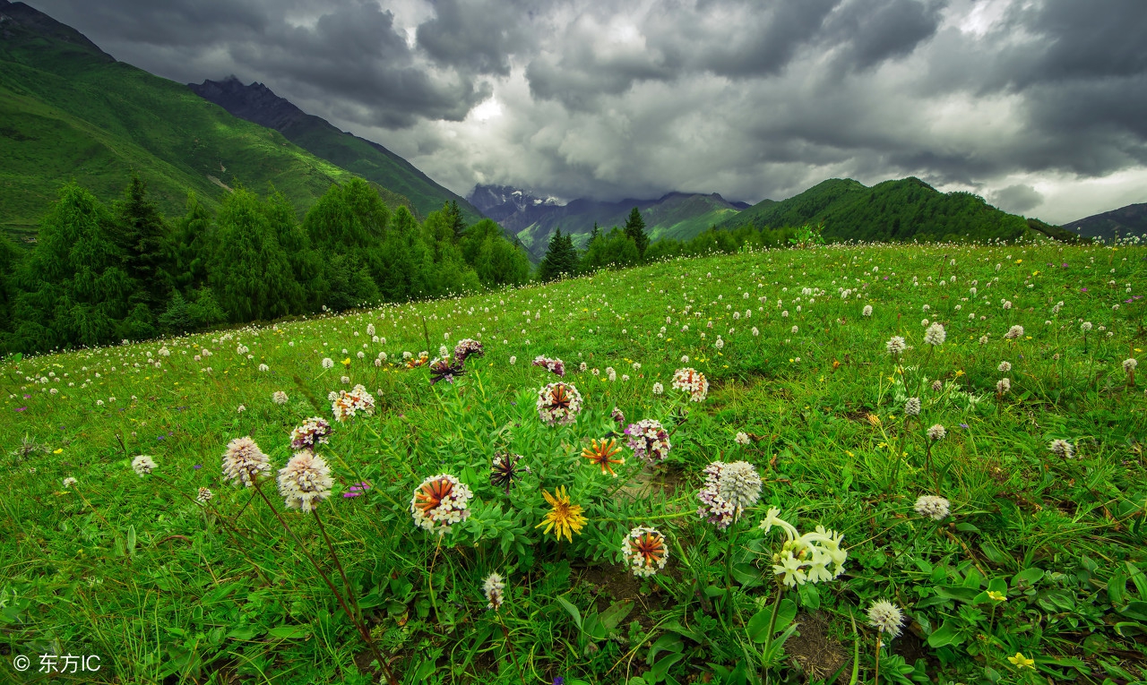 学会释怀格局自然就大了,学会取舍懂得释怀保持好的心态