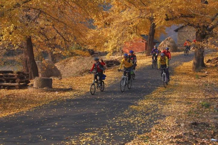 2016黄陂摄影大展,孝感新体育馆摄影大赛