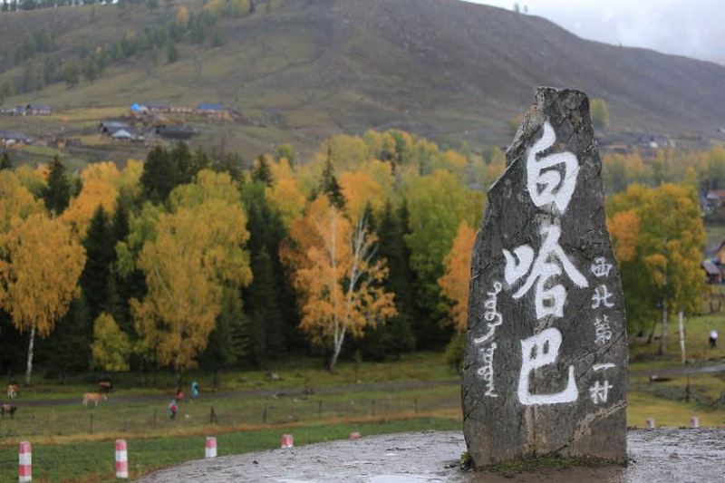 北疆环线10日游最新,北疆环线10日游旅游团