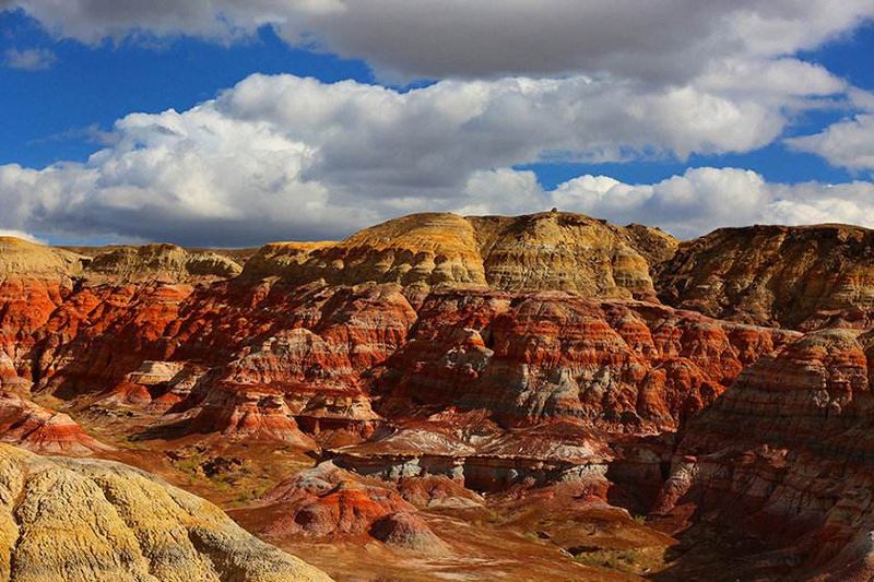 北疆环线10日游最新,北疆环线10日游旅游团