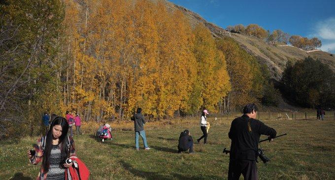 川西攻略自由行游3-4天,从你的全世界路过川西原版