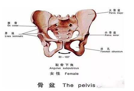 产后哪都瘦了，唯独这里不瘦
