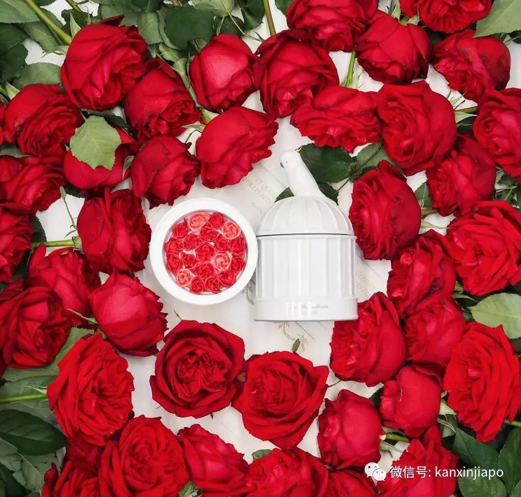 新加坡现香港日本卖断货的限量版！小仙女们快抢~