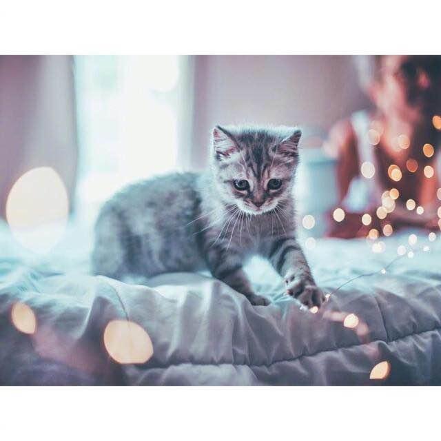 催人泪下的句子句句心酸,20条精辟到让人想哭的句子