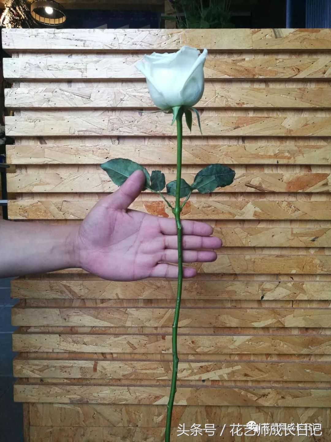 想当花艺师怎么自学,如何成为一个花艺师