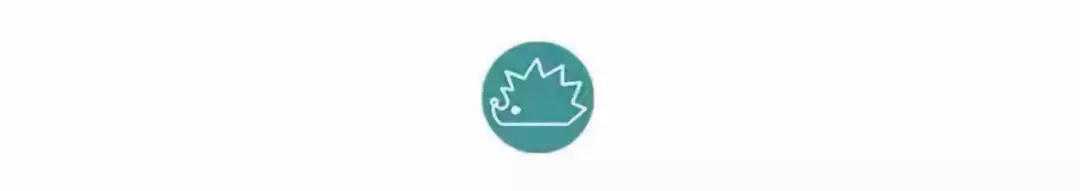 网红农村四哥一年挣多少钱,网红四哥一年赚多少钱