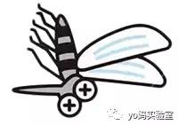 vape驱蚊器是怎么驱蚊的 (驱蚊产品测评vape驱蚊器)