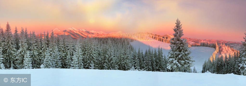 初三物理升华与凝华学习任务,初中物理优质课升华和凝华