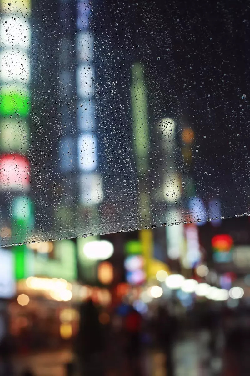 日本东京京都游记,生活在别处苏晴小说