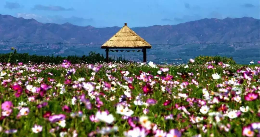 在阳原能做到什么,阳原旅游攻略自由行