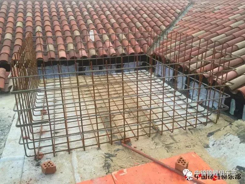 楼顶鱼池有哪些,屋顶鱼池的建造方法