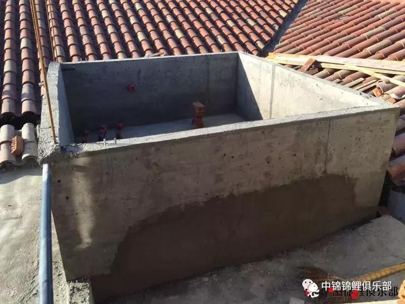 楼顶鱼池有哪些,屋顶鱼池的建造方法