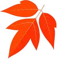 白险峰：以“四个非常”实现执行攻坚大提升