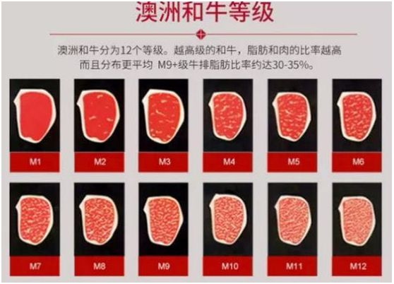 每天都有大量肉食动物到昆明废旧工厂，狂啃50CM高的火焰战斧牛排