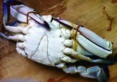 男子这样吃蟹险丧命！阳澄湖大闸蟹将上市，吃蟹千万别忘这些